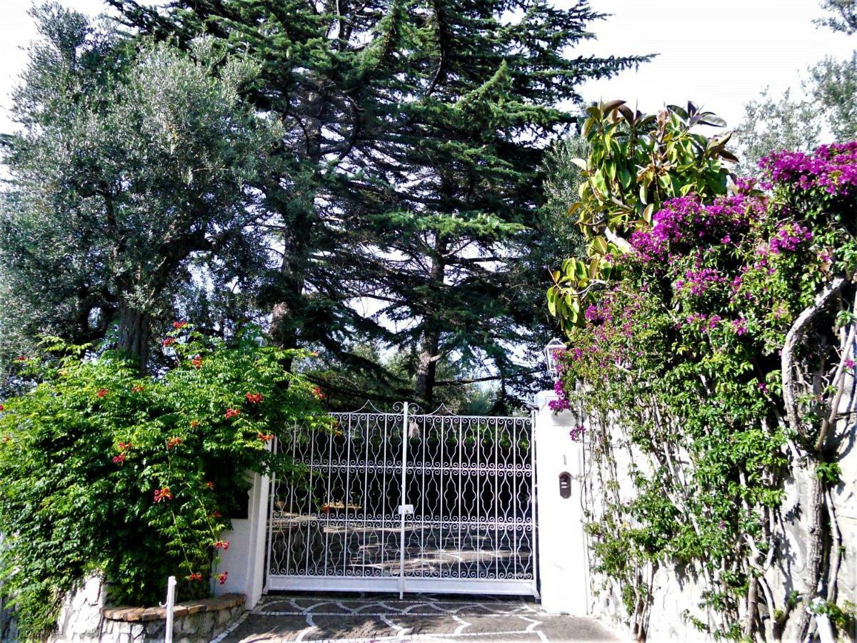 Villa Le Olivine Sorrento Exterior foto