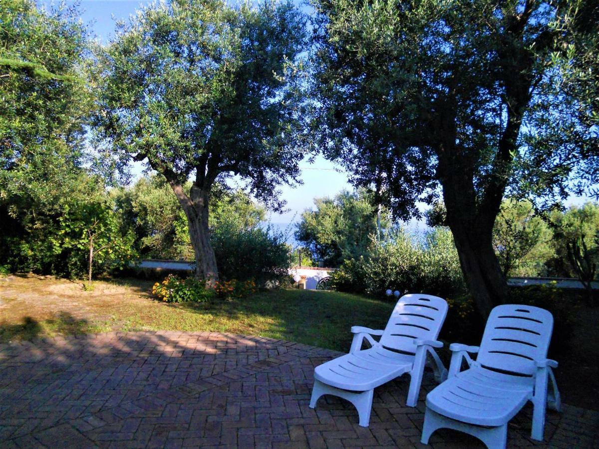 Villa Le Olivine Sorrento Exterior foto