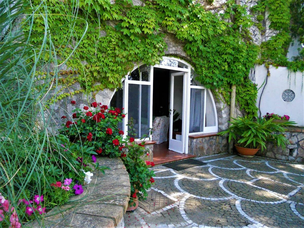 Villa Le Olivine Sorrento Exterior foto